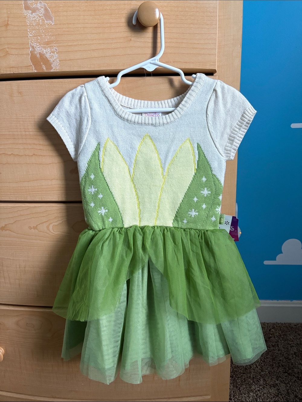 Disney Princess Tiana Dress